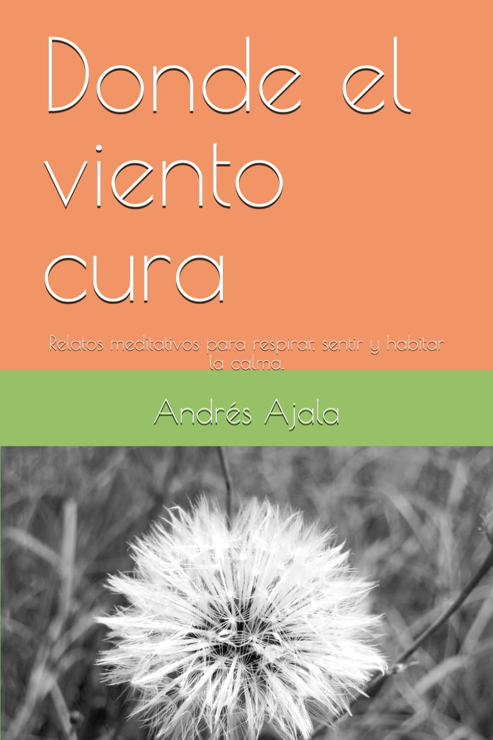 Donde el viento cura: Relatos meditativos para respirar, sentir y habitar la calma.