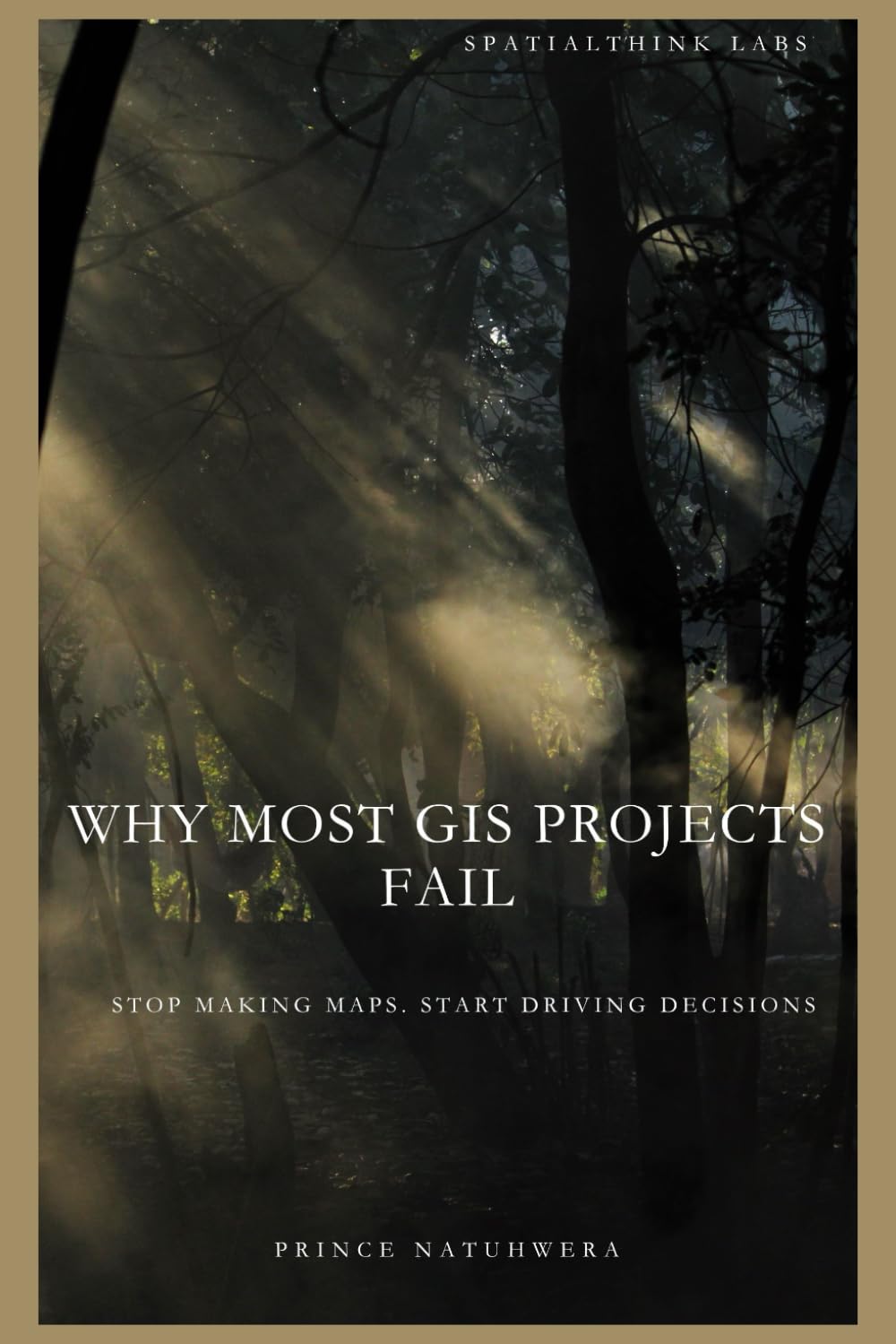 Why Most GIS Projects Fail: Stop Making Maps. Start Driving Decisions
