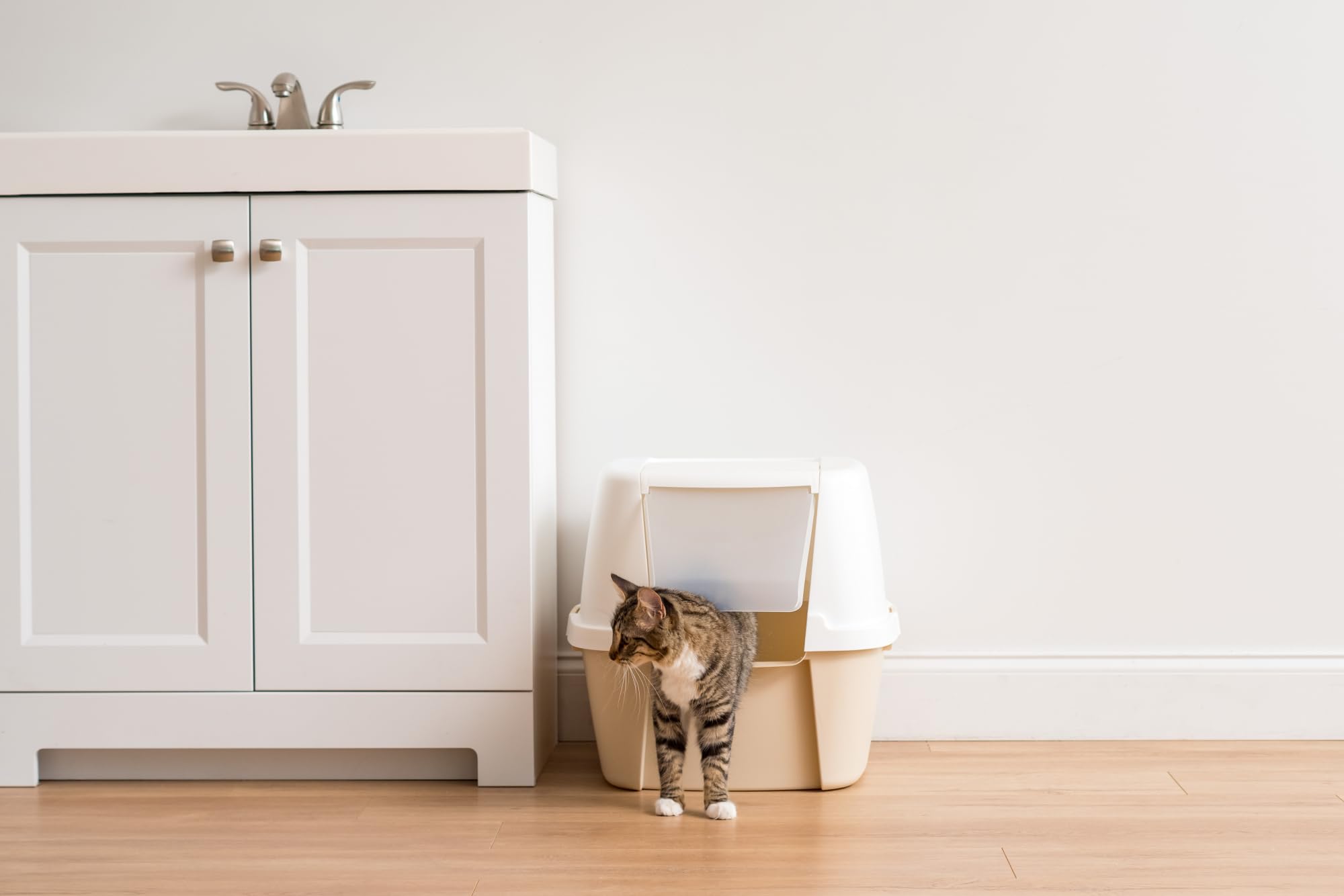 Iris Ohyama Arenero Gato Cubierto con Pala, hasta 8kg, Blanco/Beige, Caixa de areia para Gatos, Caja, para Gatos Grandes y pequeños, Cerrado, Cagadero, WC, Libre de BPA, Cat Litter Box, CLH-17J
