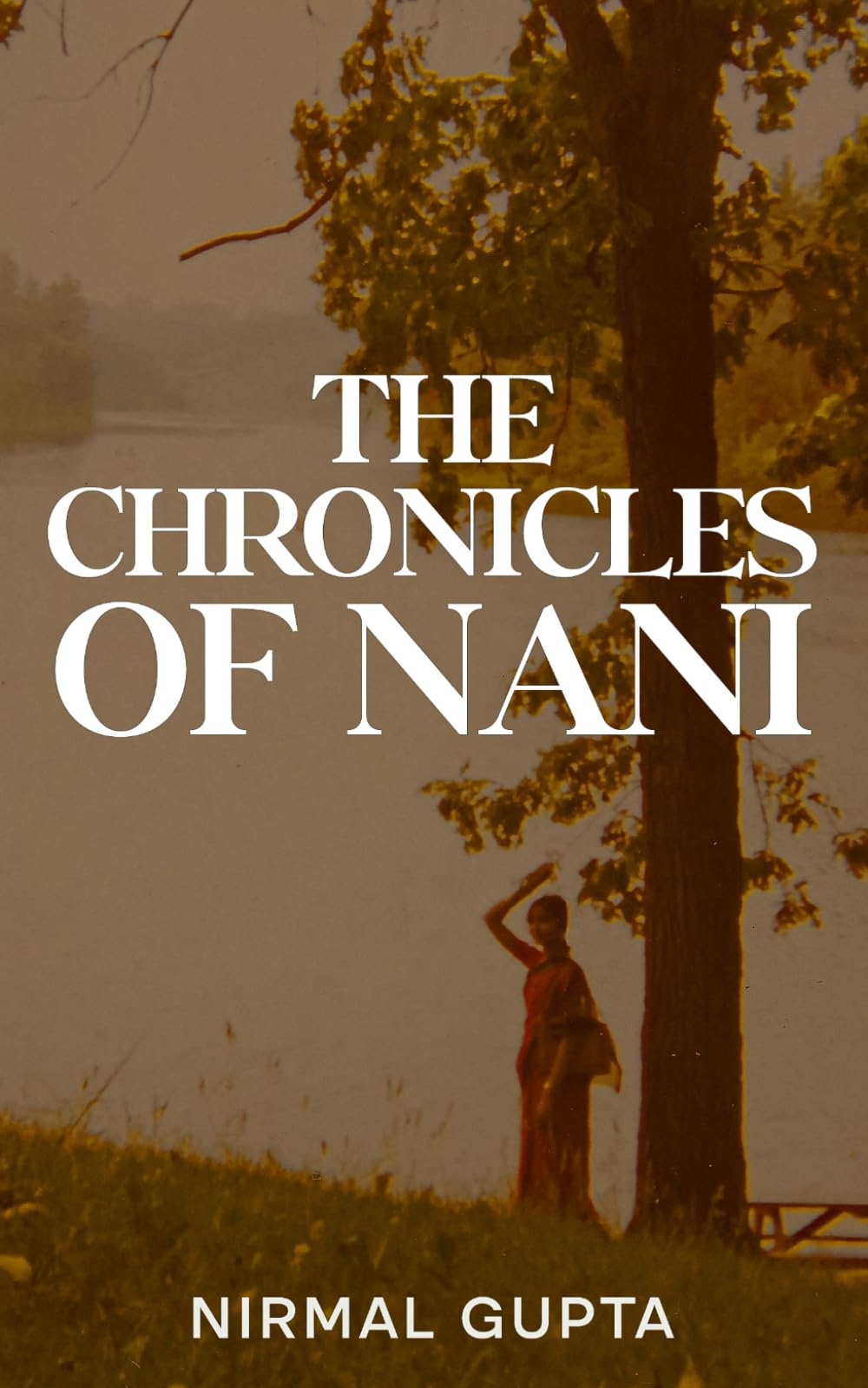 The Chronicles of Nani