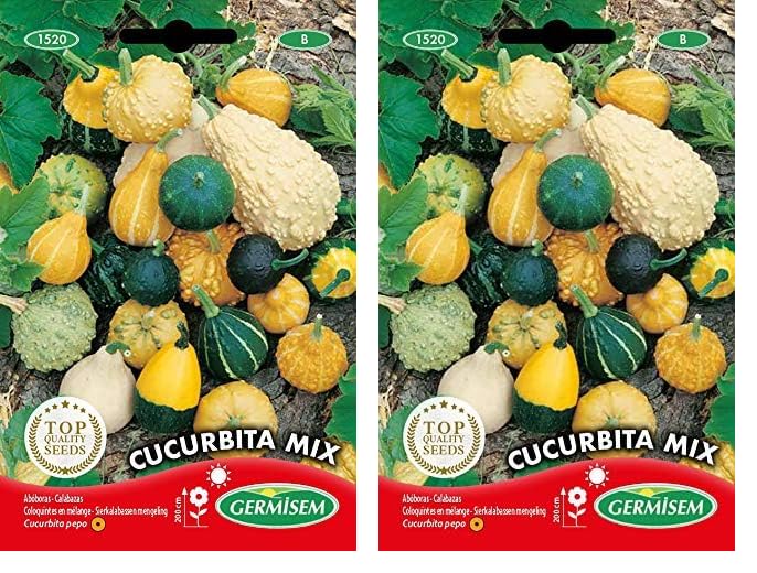 Germisem Cucurbita Mix Semillas de Calabaza 2 g (Paquete de 2)