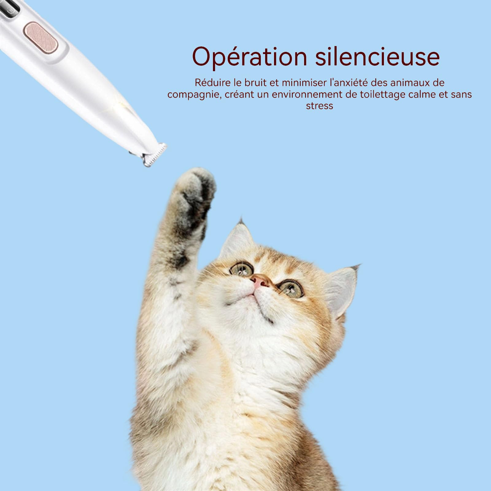 Tondeuse Chatinou, Tondeuse Chat Silencieuse Anti-Nœuds, Douceur & Sécurité, Soin-Des-Pattes-Sans-Douleur-En-Quelques-Secondes, Led Intégrée, Pour Pattes, Yeux, Oreilles, Visage, Corps (1PC)