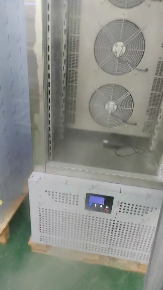 Image of Kolice 10-Tray Commercial Blast Chiller -40F | 250L Stainless Steel Shock Freezer with AI Controller | Heavy Duty Flash Freezer for Bakery Frozen Dough, Ice Cream, Restaurant Use | 1450W, 110V