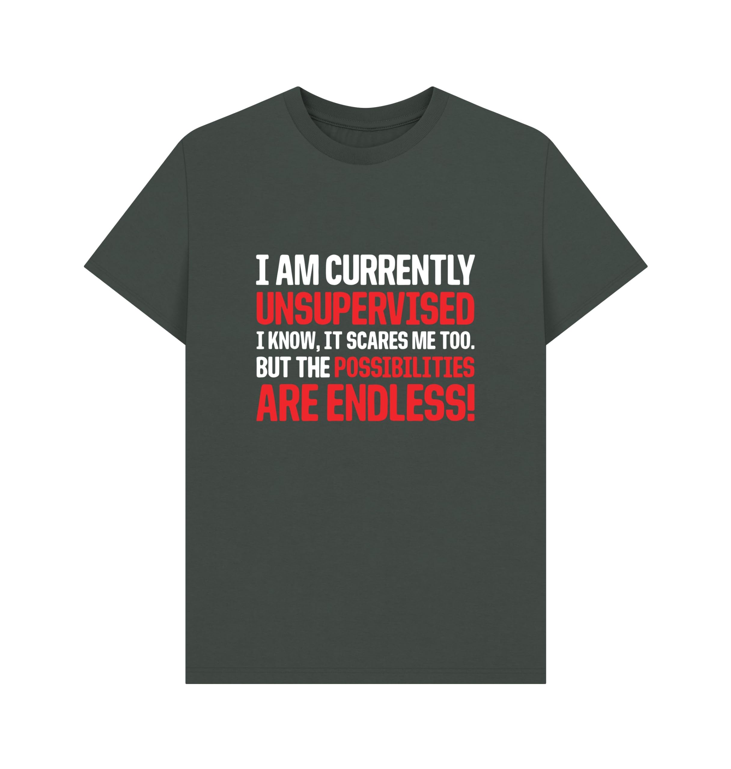 Shirtbox Men's Dark Grey I Am Currently Unsupervised Funny Quote Graphic T-Shirt