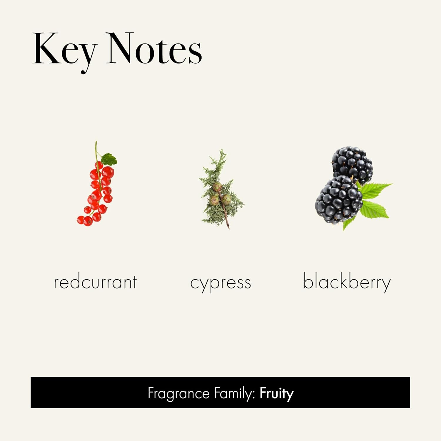 LAFCO New York Holiday Signature Candle, Midnight Currant - 15.5oz - 90-Hour Burn Time - Reusable, Hand Blown Glass Vessel - Made in The USA - Image 3