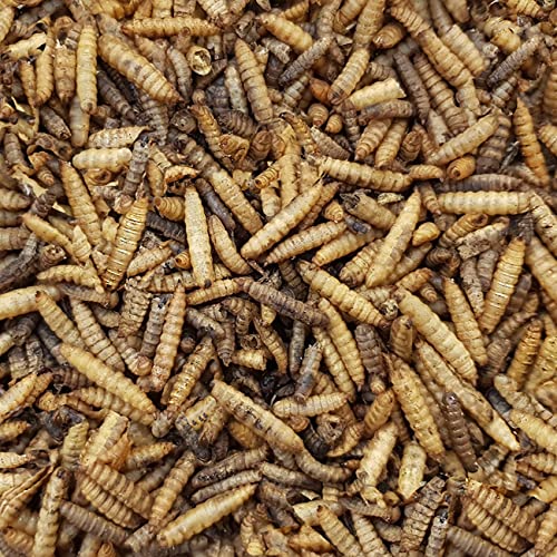 5kg Croston Corn Mill 'Wheatsheaf' Dried Calciworms for Wild Birds (Higher in calcium than Mealworms, better alternative for Hedgehogs)