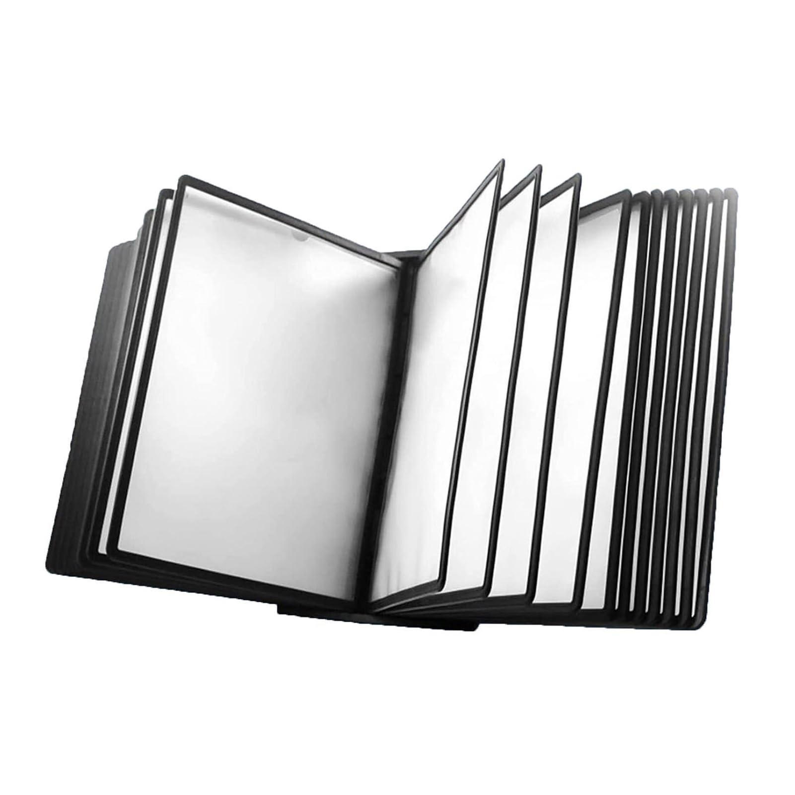 JYBNBBE Wall Mount Reference Organizer, 20 Dual-sided Display Pockets, Find Reference Display Document Holder, For Office Meeting Poster Showcase and Also Storage,20 pages