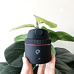 Review Image by Amazon Customer Amazon Customer