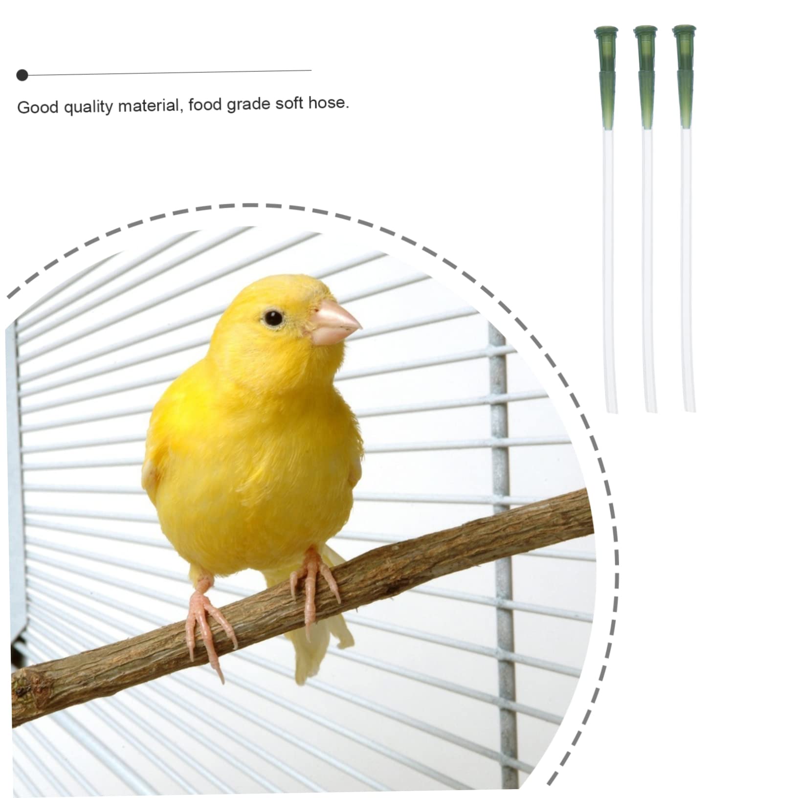 Toddmomy 3Pcs Food Grade Birds Feeding Hose Tool for Young Parrots and Birds for Administering Milk and Liquid Medicine Durable Accessory for Pet Bird Care