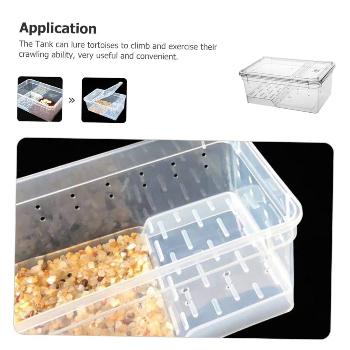 Terrario Rettili con Piattaforma per Tartarughe, Vasca Domestica | Area di Riposo e Alimentazione, Pendenza Adatta, Plastico, per Riabilitazione e Arrampicata Quotidiana