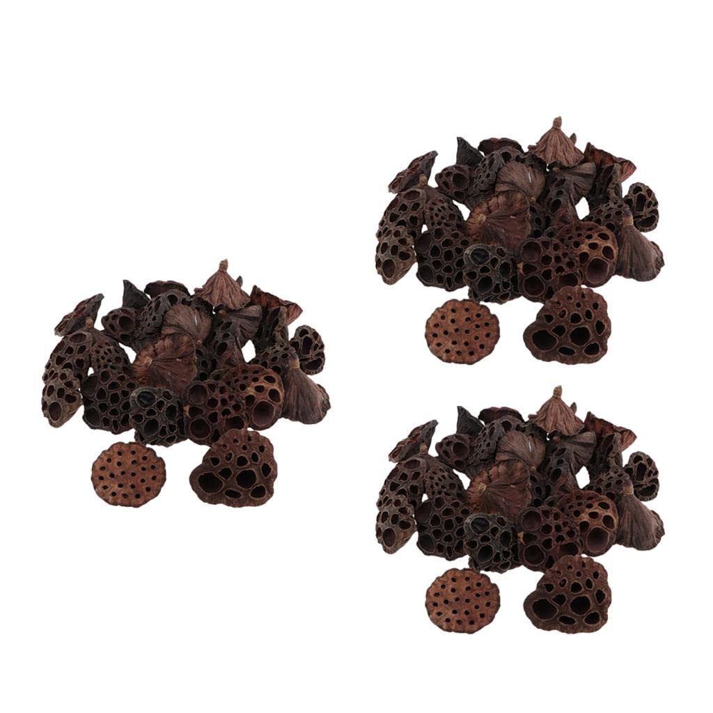 3 X 30 Pièces de Gousses Séchées Naturelles, Fleurs et Fruits pour