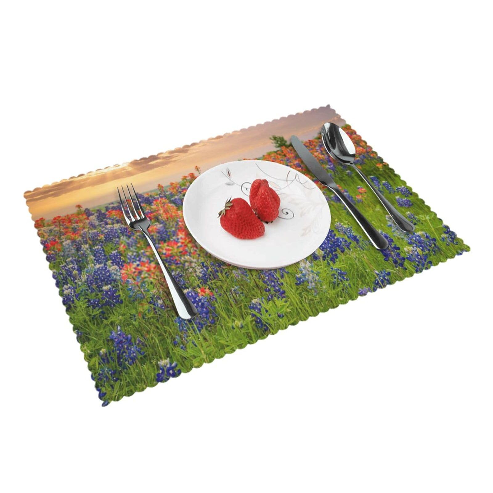 Bnvsadc Texas Bluebonnets Scenery 4 Pcs Heat Resistant Placemat 45X30 Cm, Printed Non-Slip Place Mats For Kitchen Dining Table Indoor Outdoor