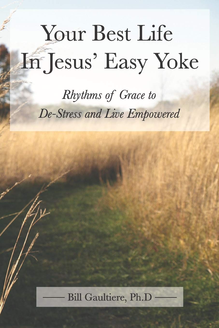 Your Best Life In Jesus' Easy Yoke: Rhythms of Grace to De-Stress and Live Empowered