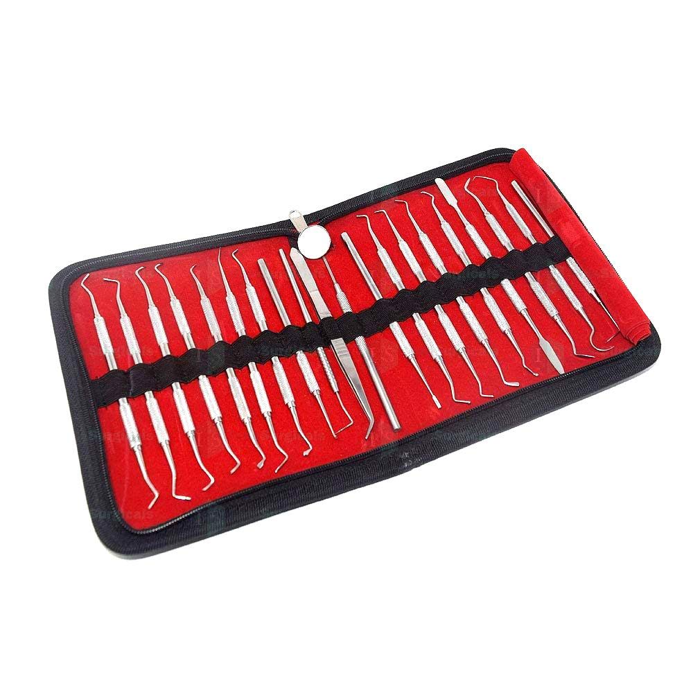 IS IndoSurgicals Dental Conservative Instrument Kit of 20 Instruments (B08F2BVPX4) Amazon Price History, Amazon Price Tracker