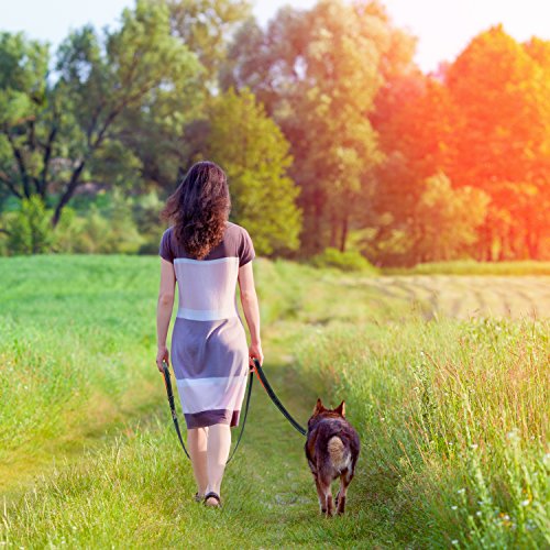 RealDogZ - Guinzaglio per cani, 2 m, con guida