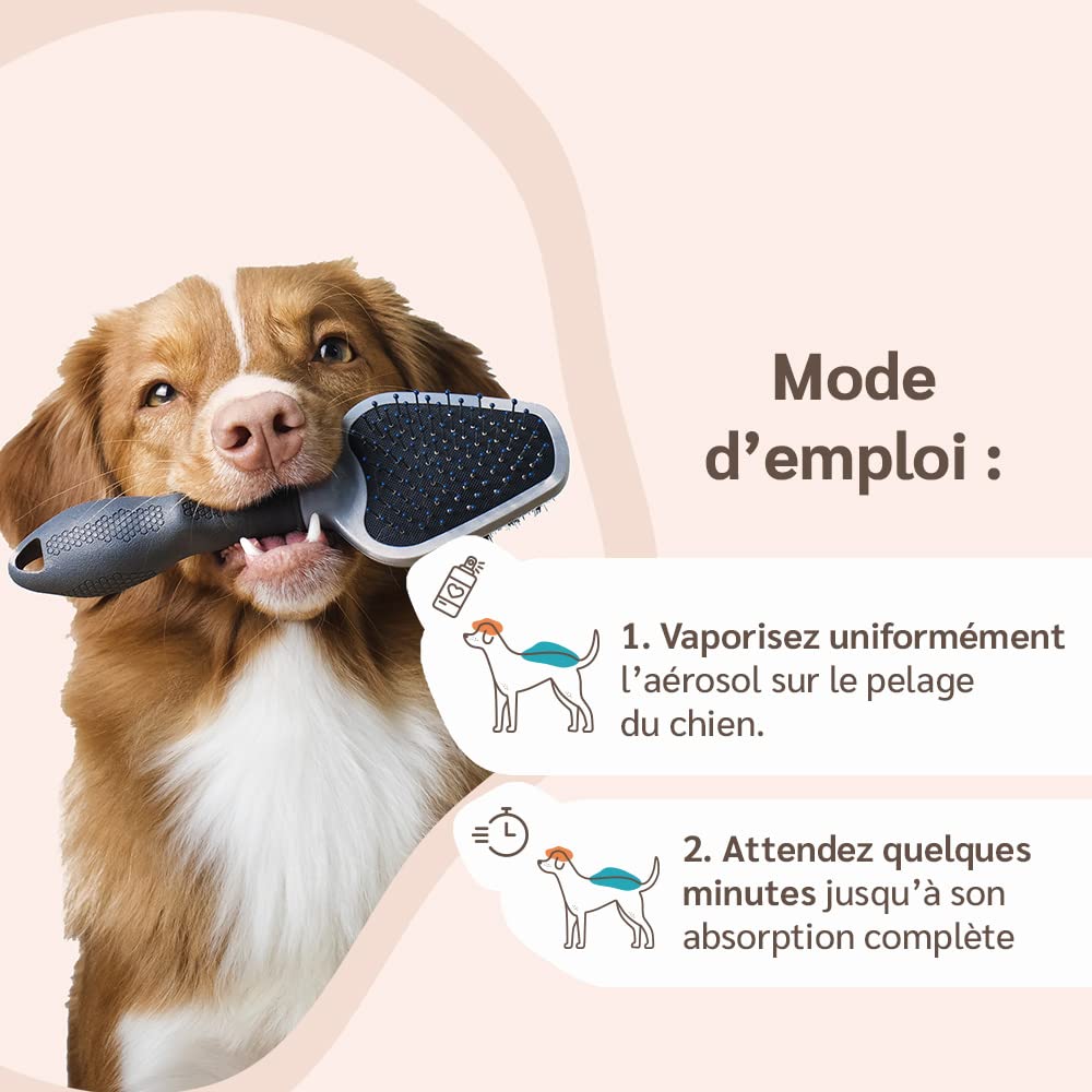 amusi Huile de Neem pour Chiens - 500 ML - Spray Répulsif - Protection 100% Naturelle - Spray Contre Les tiques, Mouches, acariens, poux - Répulsif pour Chiens - Huile de neem