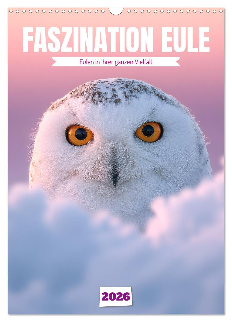 Fascination owl - owls in all their diversity UK-Version (Wall Calendar 2026 DIN A3 Portrait), CALVENDO 12 Month Wall Calendar โ image 1