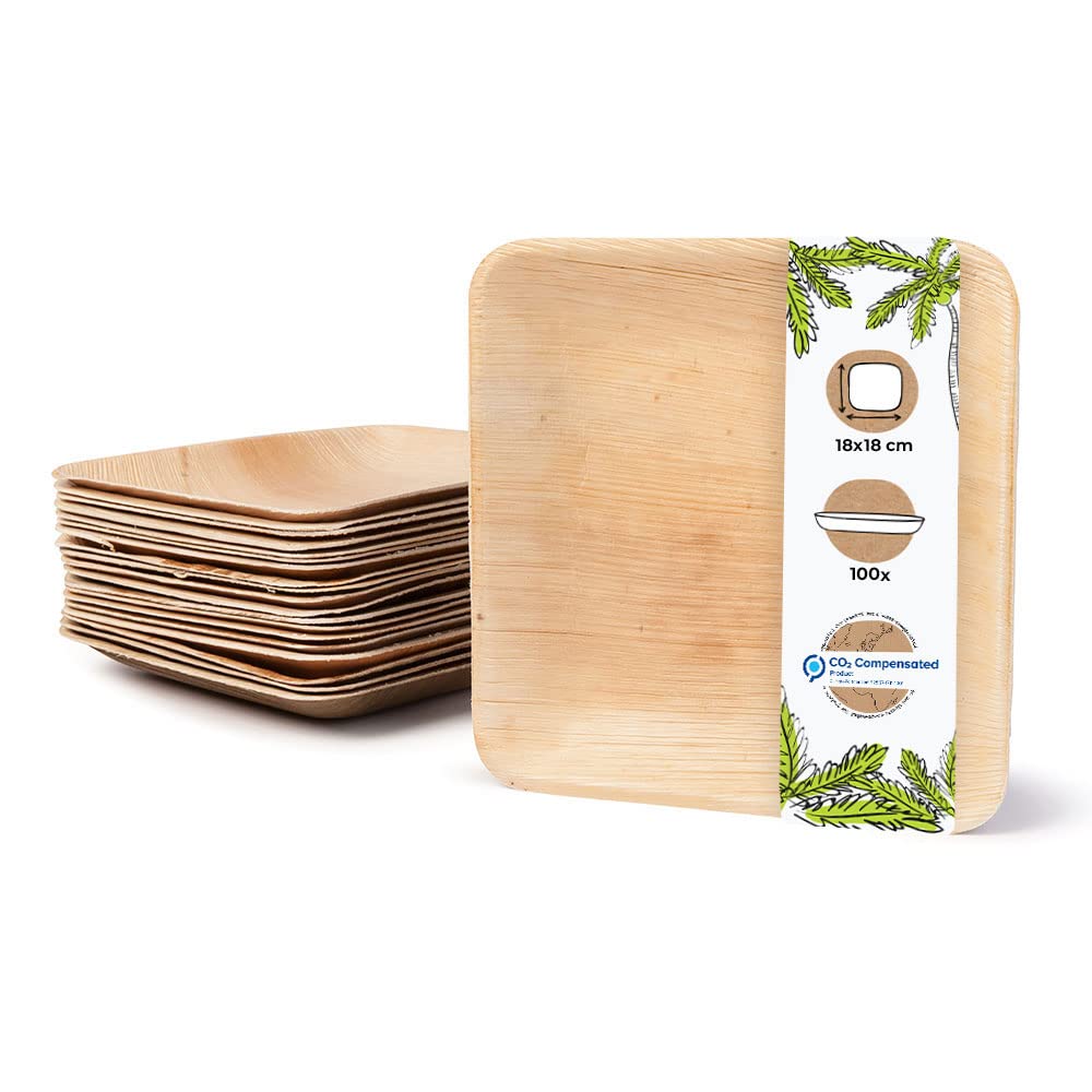 BIOZOYG Einwegteller 100 Stück 18x18cm Palmblatt-Teller - Einweggeschirr kompostierbar - hochwertige Alternative für Bambus Teller und Pappteller - Partygeschirr