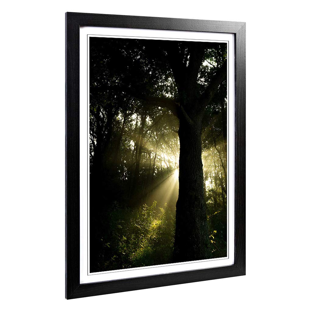 Big Box Art Framed Print of Ray of Sunshine in The Forest Woodland Design | Wall Art Picture | Home Decor for Kitchen, Living Room, Bedroom, Hallway, Black, A2 / 24.5x18 Inch / 62x45cm