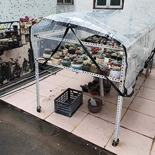 Lona transparente resistente a los rayos UV e impermeable para cubrir botes 8