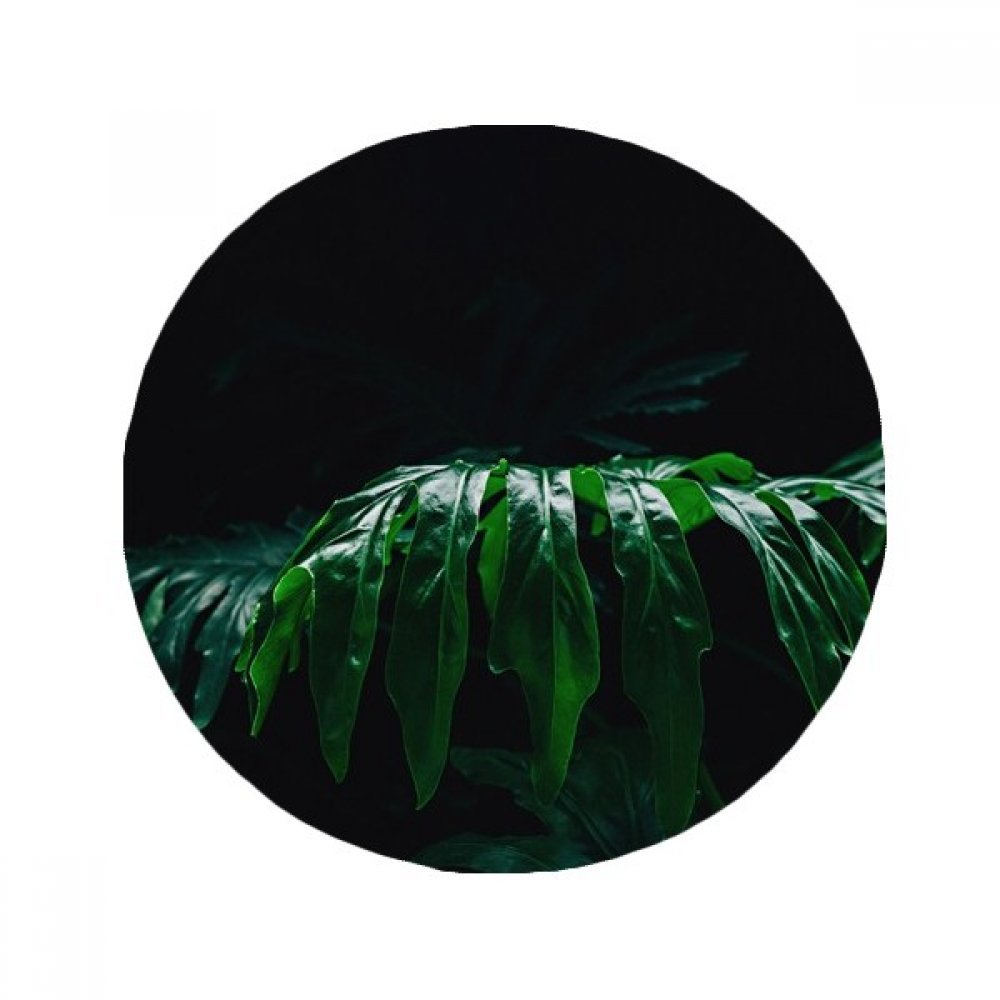Tapis de sol rond nature aux feuilles de plantes multicolores 50x50 cm