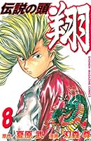 爆走兄弟レッツ&ゴー1〜11 ❍伝説の頭翔 1〜11 22冊まとめ売り！！ 爆走兄弟レッツu0026ゴー1〜11 伝説の頭翔 全巻 1〜11