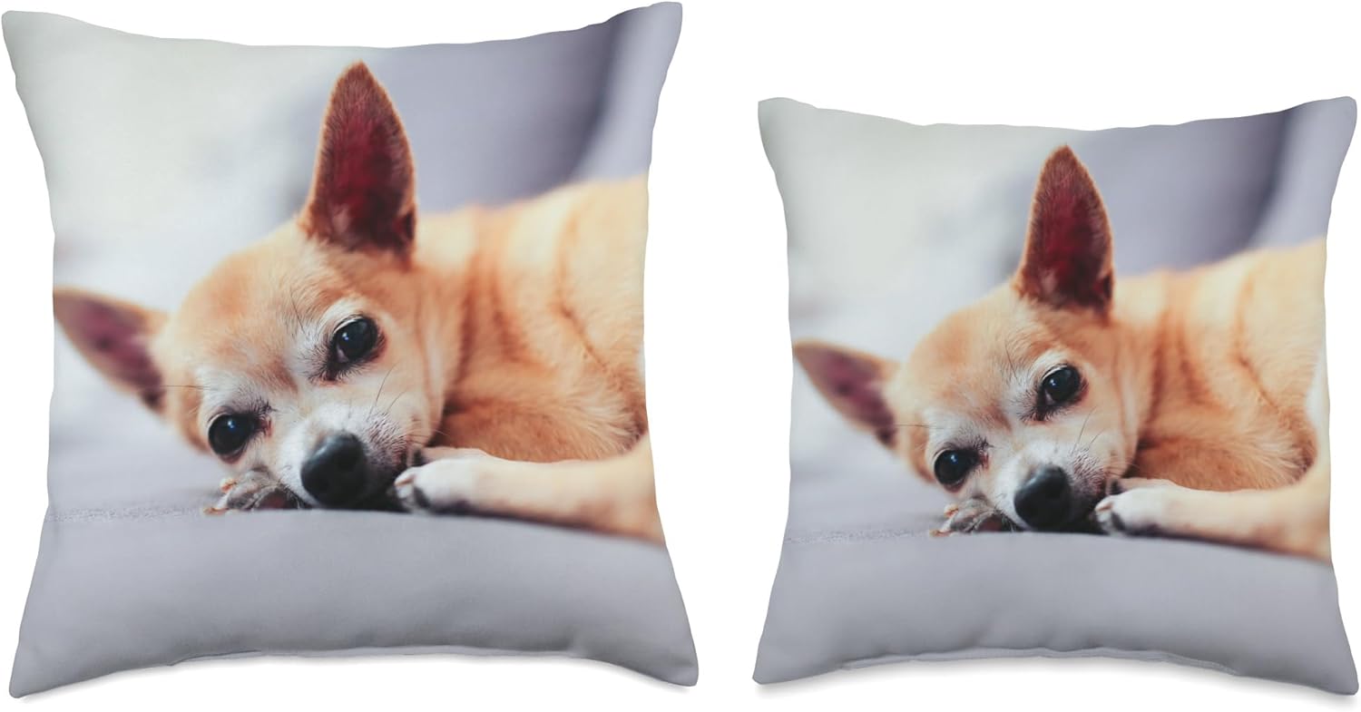 Cute Chihuahua Throw Pillow