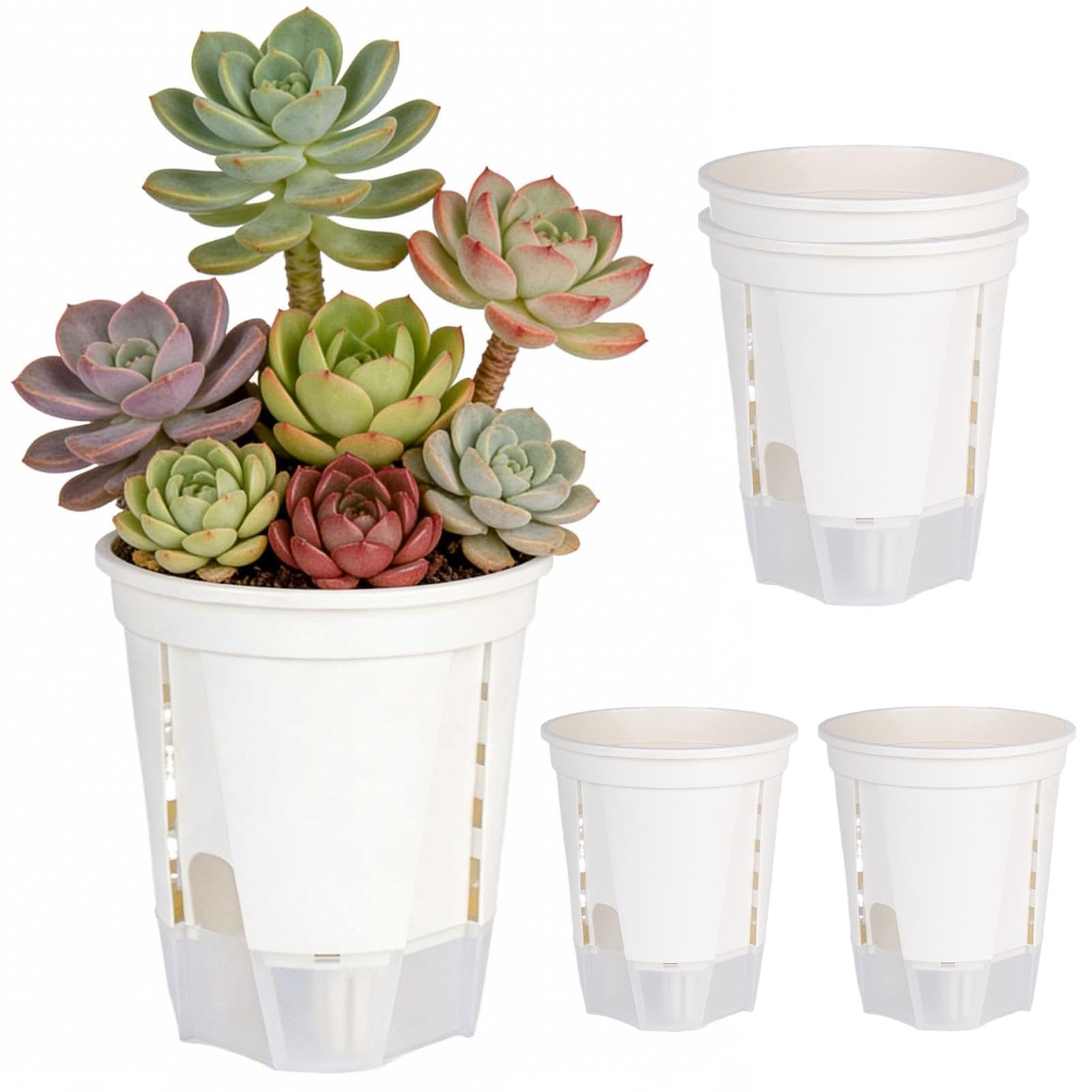 Jardinieres a Arrosage Automatique pour d'Interieur Lot de 5 Jardinières
