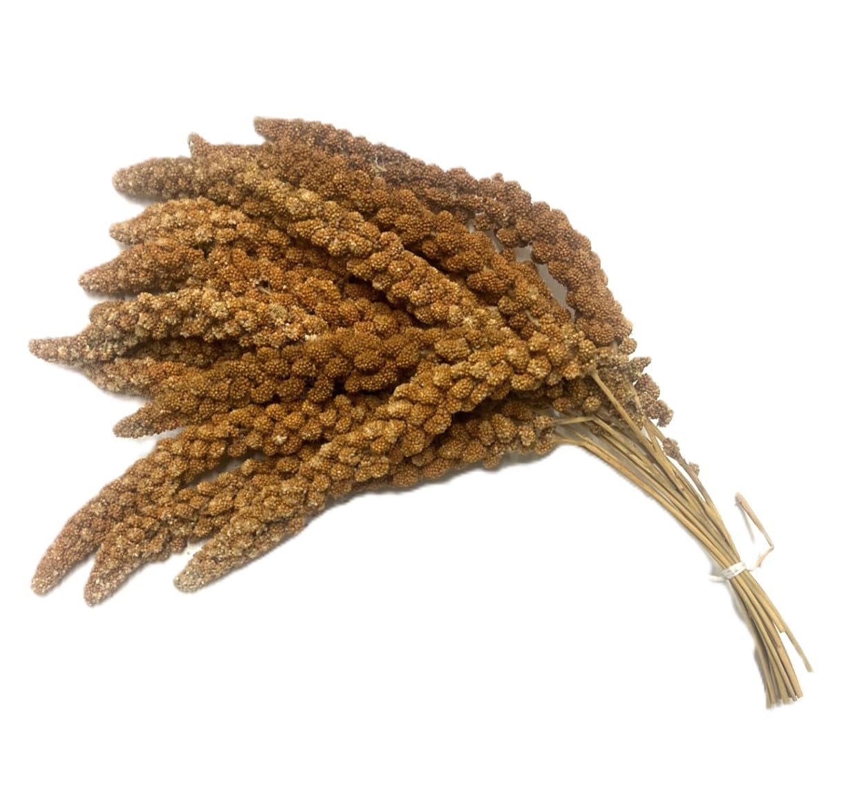 500g Premium Red Millet Sprays - Ideal Food for Cage & Aviary Birds