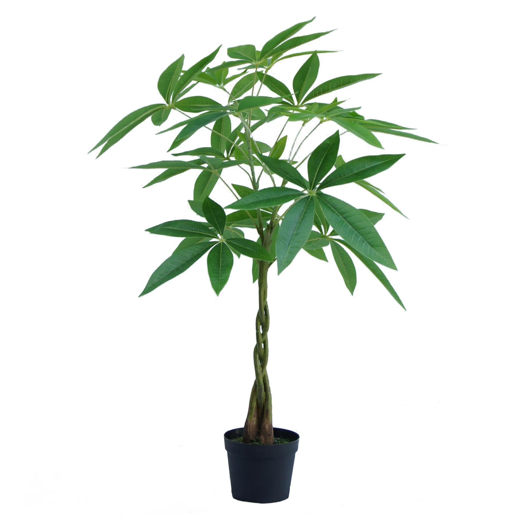 Botanik Green Artificial Money Tree Pachira Realistic Faux Plant