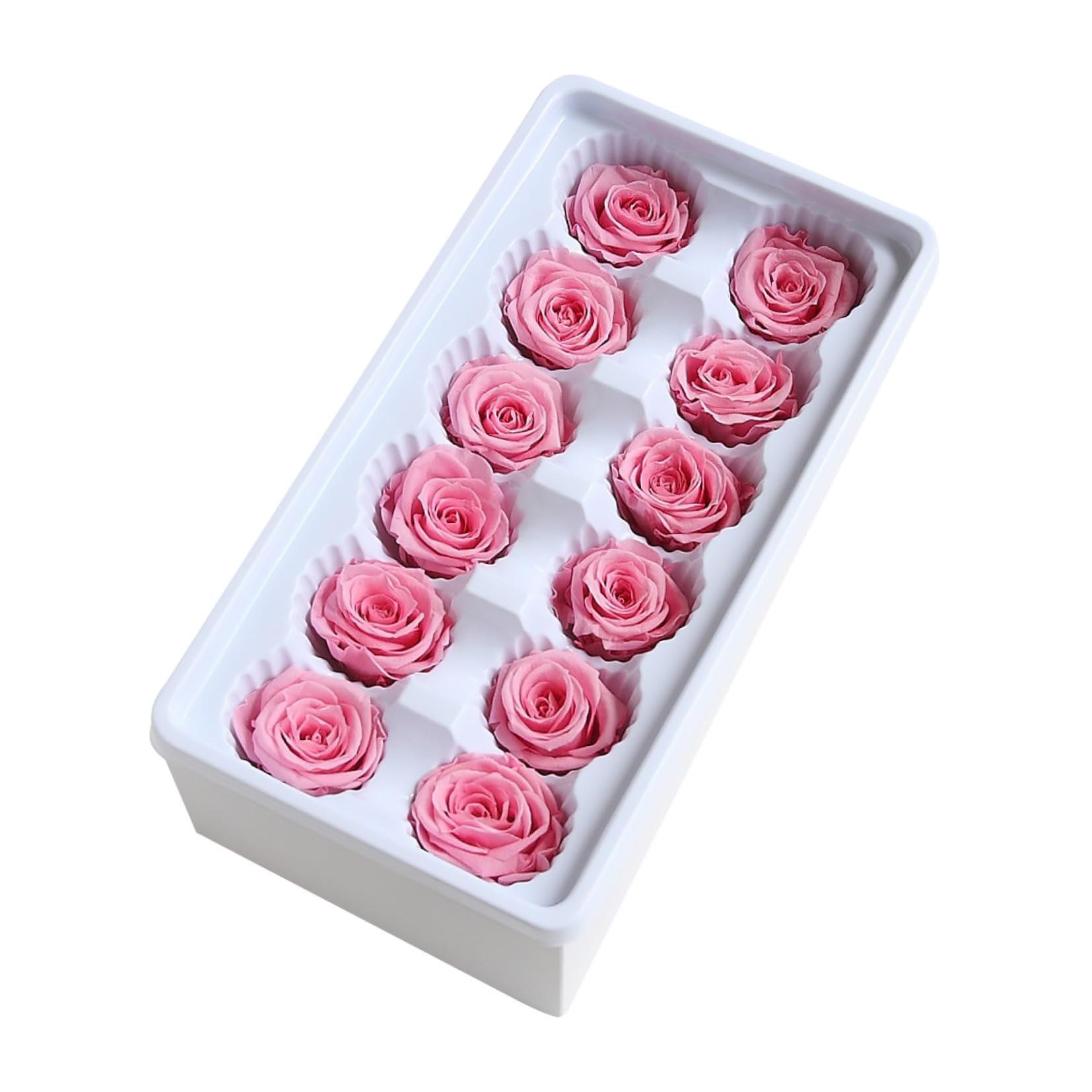 Rosas preservadas de 3-4 cm STOBAZA: 12 flores inmortales en caja perfectas para fiestas