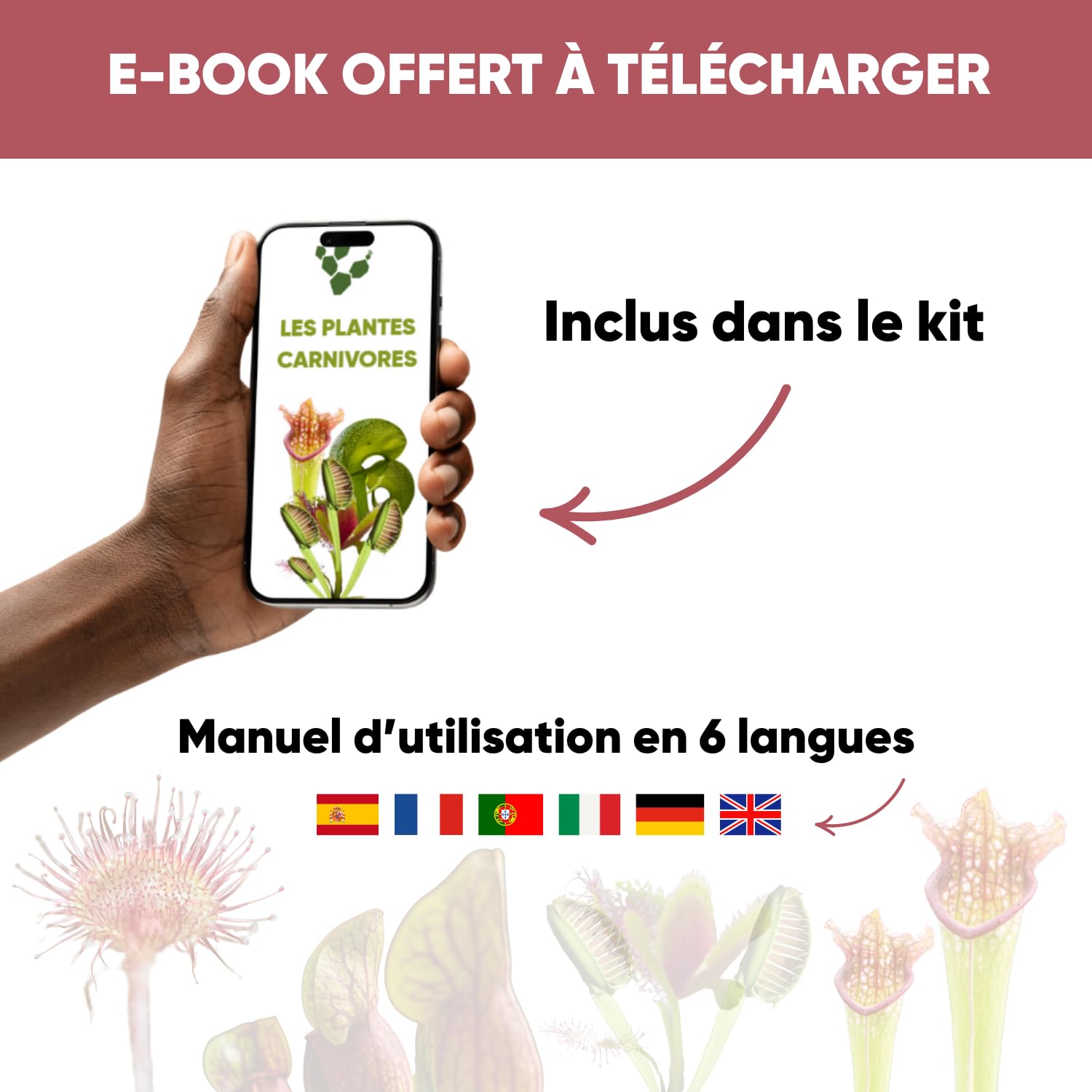 NOPALIA® Kit Plantes Carnivores Premium – Dionaea, Darlingtonia & Sarracenia – Kit Complet avec Serre, Pots, Tourbe & Sphaigne – Cadeau Insolite & Éducatif noel – DIY Jardin Intérieur – Made in France