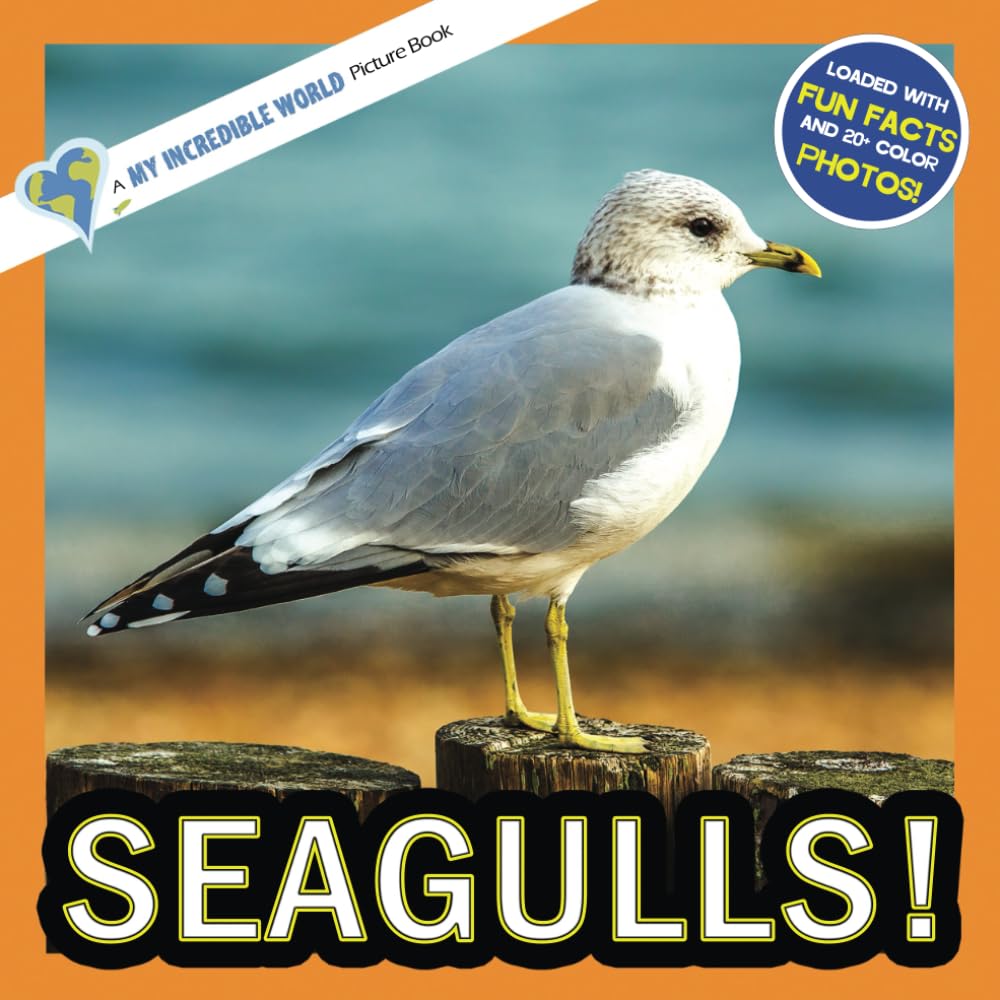 Seagulls!: A My Incredible World Picture Book for Children (My Incredible World: Nature and Animal Picture Books for Children)