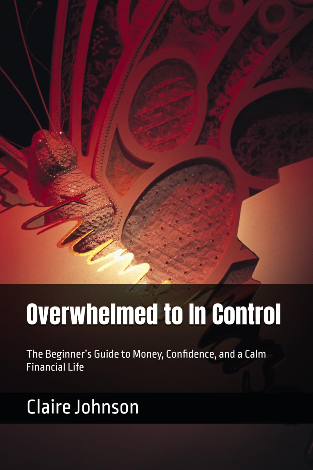 Overwhelmed to In Control: The Beginner’s Guide to Money, Confidence, and a Calm Financial Life