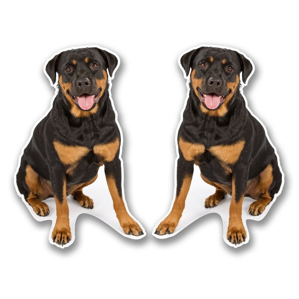 Destinationvinyl 2 X 30Cm/300Mm Rottweiler Rottie Window Cling Sticker Car Van Campervan Glass #6296