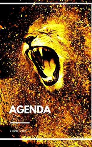 Télécharger Agenda Scolaire 2020 2021 Journalier Lion / Agenda Animal Lion / 292 pages / collège / lycée / ét Livre PDF Gratuit