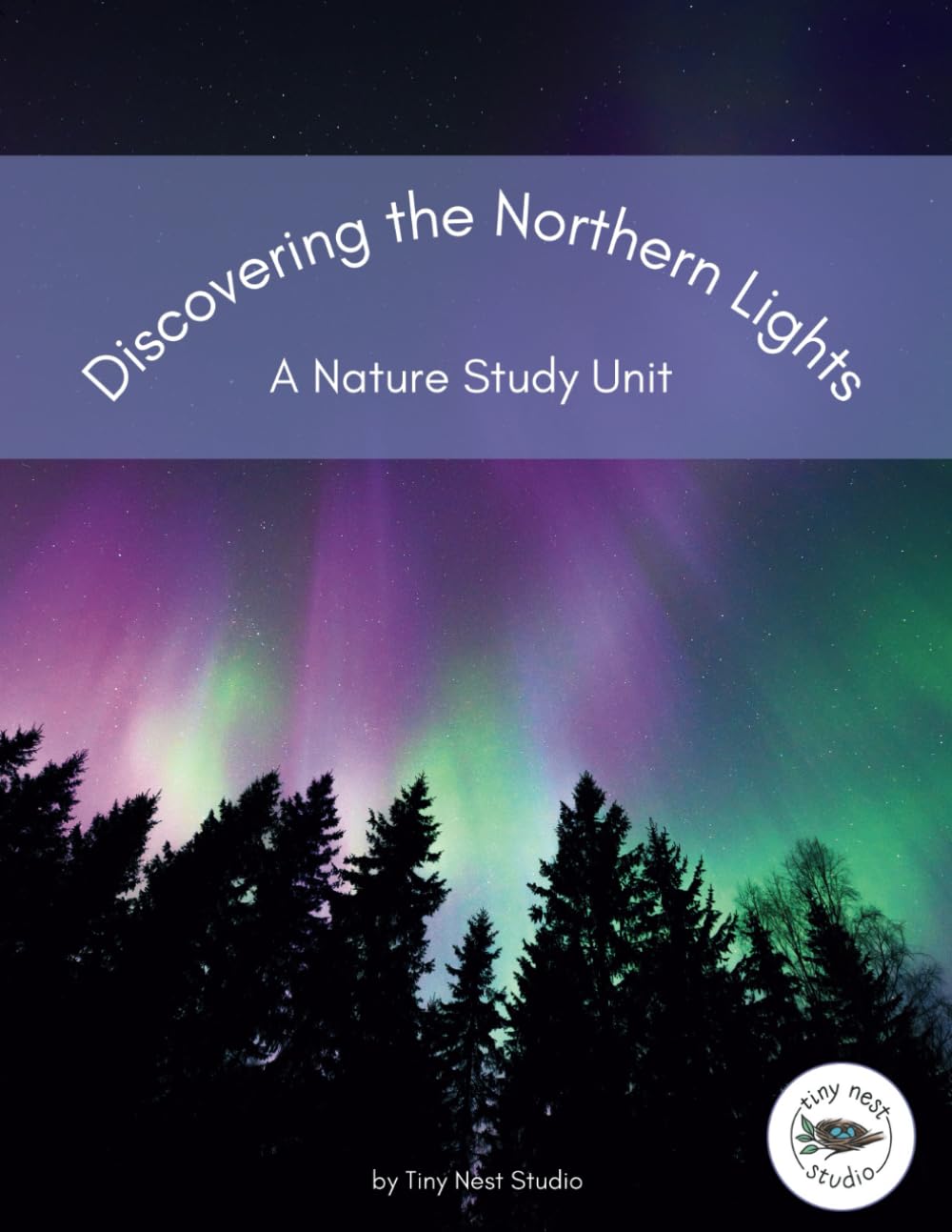 Discovering the Northern Lights: A Nature Study Unit      Paperback – March 26, 2025