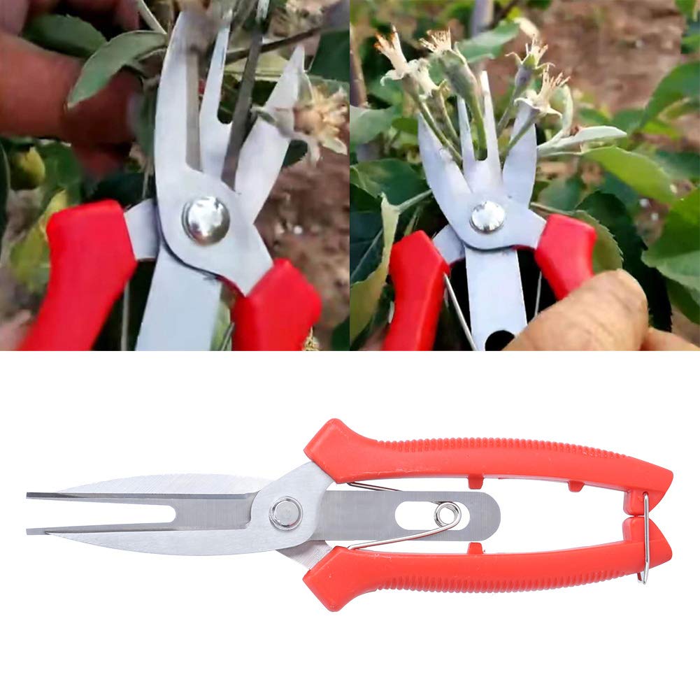 TOPINCN Cesoie per Potatura Attrezzi Agricoli Potatore Giardinaggio Forbici per Potatura di Mele Cesoie a Doppia Bocca Forbici per Alberi di Pero per Fiori Diradati in Acciaio Inossidabile