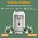 Original Sin White Widow NA Cider - 12oz Prebiotics Low Calorie NA Cider Sugar Free Drinks - Sparkling Apple Cider Vinegar Drink with 25% Fruit Juice - Carbonated Blackberry Cider Non-Alcoholic Drinks