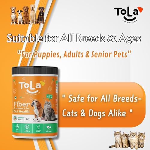Miniatura 5 de Tola Suplemento Gut Health para perros y gatos  Sabor a zanahoria  Decoración de nutrición diaria con enzimas digestivas  Apoya la digestión, alivio