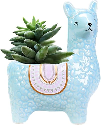 Miniatura 6 de SELLONWANELO Lindas macetas suculentas de alpaca maceta de cerámica pequeña cactus maceta blanca