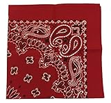 USA Made Military Army Trainmen Paisley 22