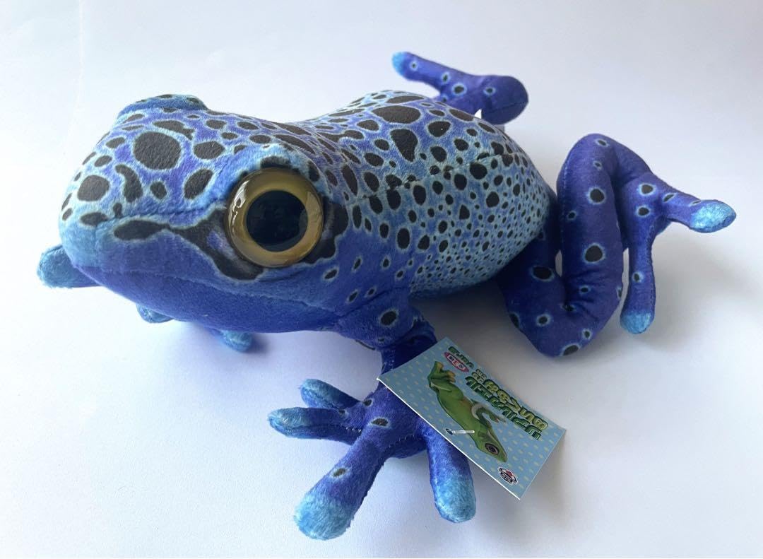 Amazon.co.jp: リアルカエル ぬいぐるみ 3色セット : おもちゃ