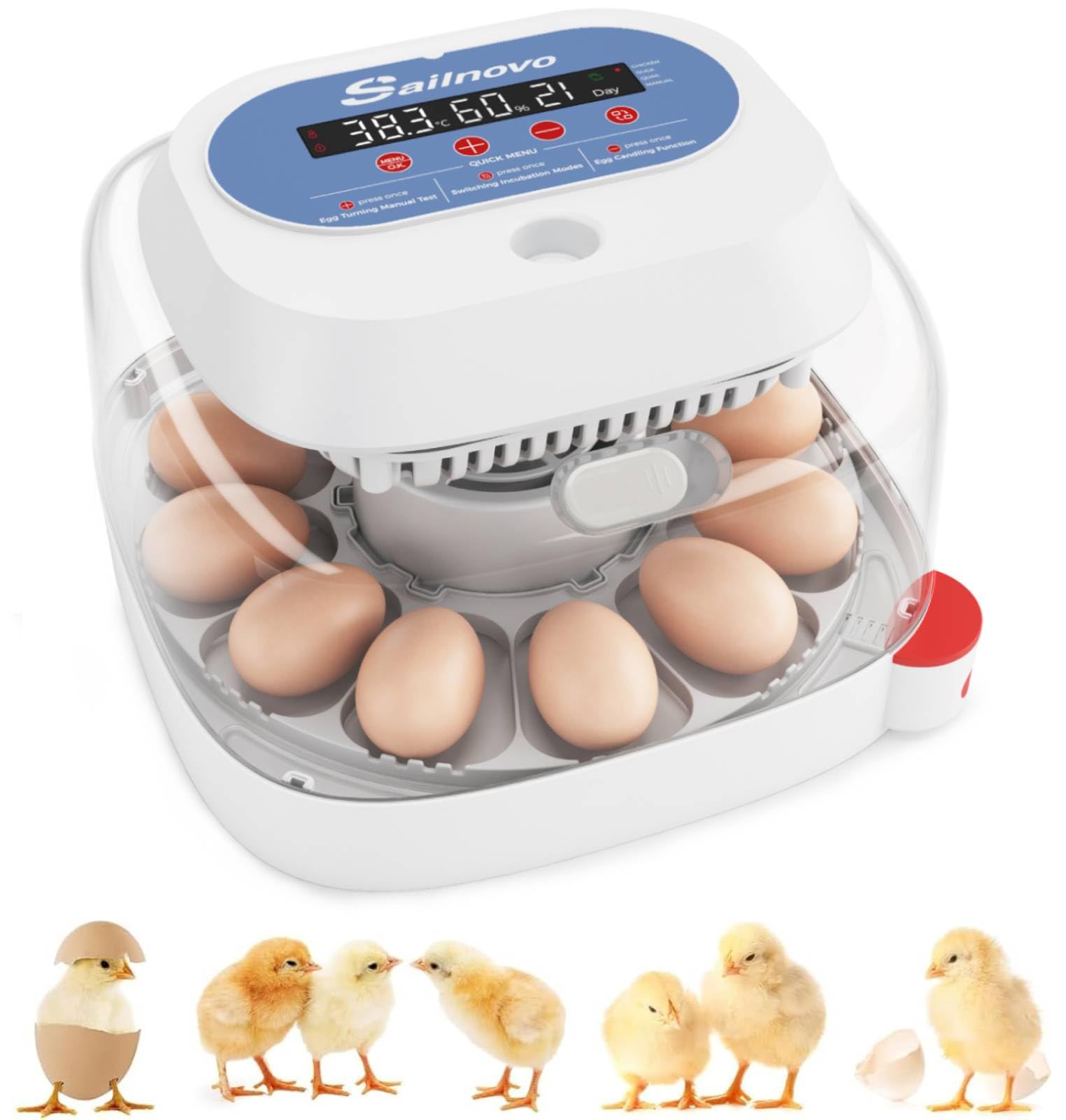Sailnovo Incubadoras de huevos para incubar, 12 huevos, incubadora para huevos de gallina con 4 modos, visión de 360°, incubadora de huevos con giro automático y control de temperatura, Azul