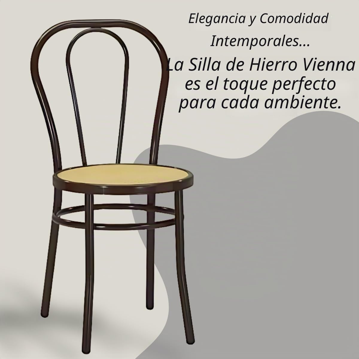 Tomaino - Silla de cocina de hierro con asiento de paja - Juego de sillas de comedor Viena (4, negro)