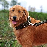 Vista 6 de Love Dream Collar militar ajustable para perro, collares tácticos de nailon con anillo en D de metal y hebilla para perros grandes y extragrandes
