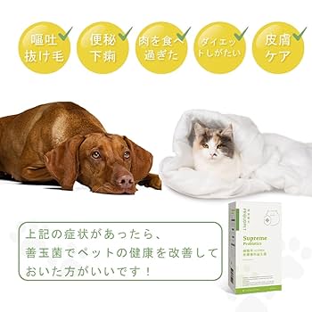 ARCH 犬猫の皮膚まるまる検査・薬剤 2017 ARCH 犬猫の皮膚まるまる検査・薬剤 2017