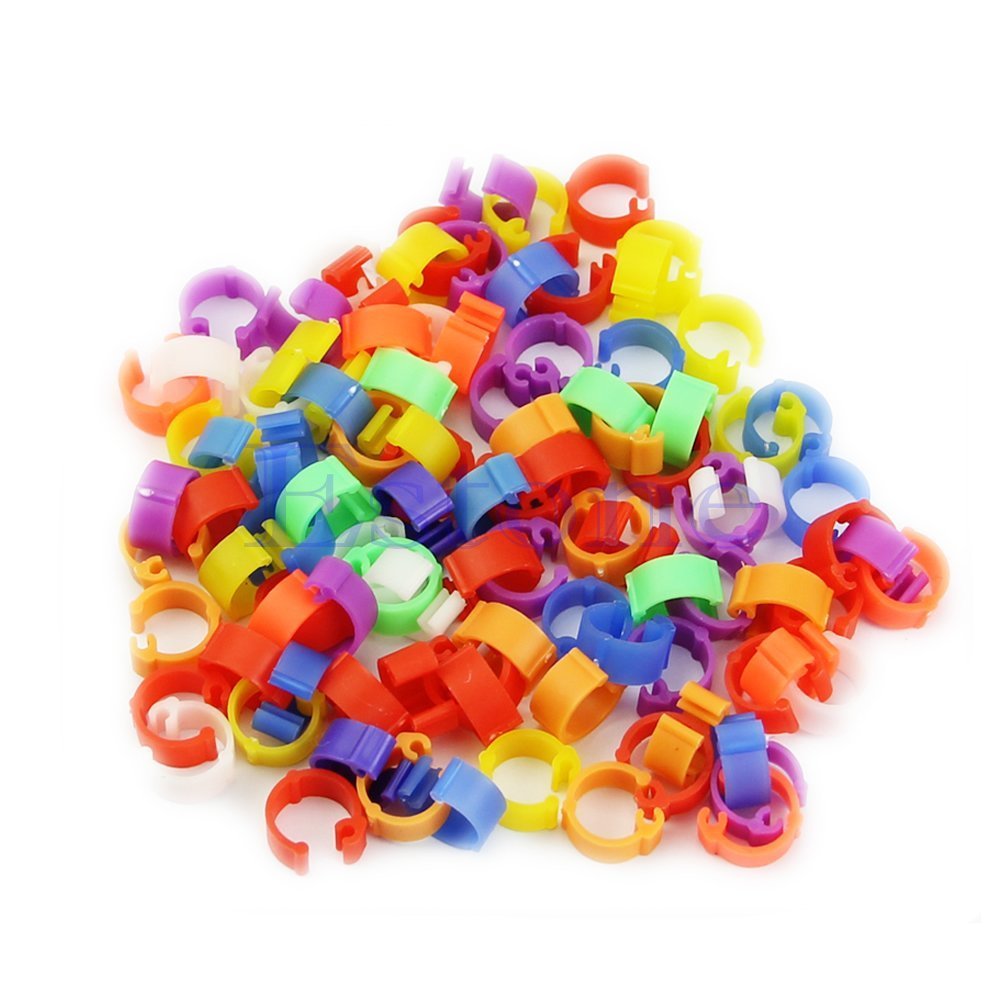 100 Pcs Bagues/Anneaux de Pied pour Oiseaux/Pigeon Pignon Anneaux d'Identification A Pieds pour Oiseaux, Couleur Aleatoire (Plastique)