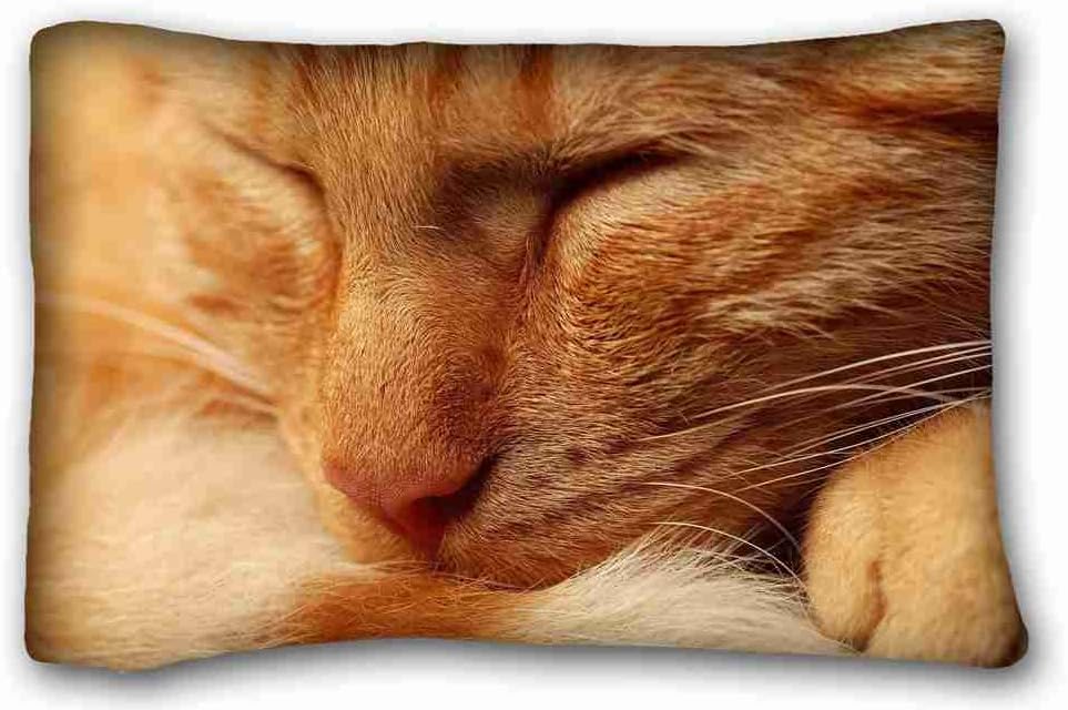 Custom Cotton & Polyester Soft ( Animals cat muzzles sleep eyes red ) Pillow Cushion Case Cover One Sides Printed 20x30 Inches suitable for Twin-bed PC-Purple-32149