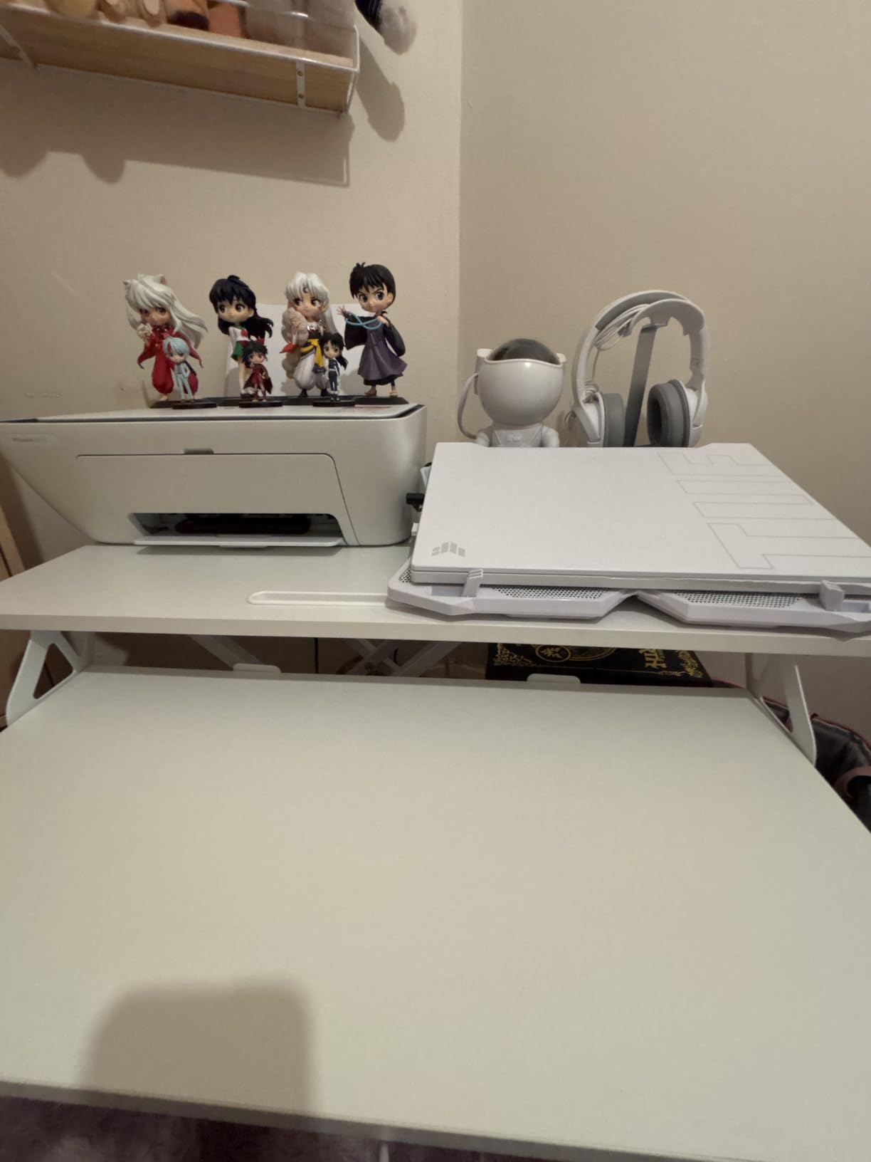 Customer photo